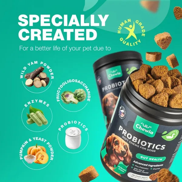 Probiotics For Dogs Gut Health Digestion - PawSlow