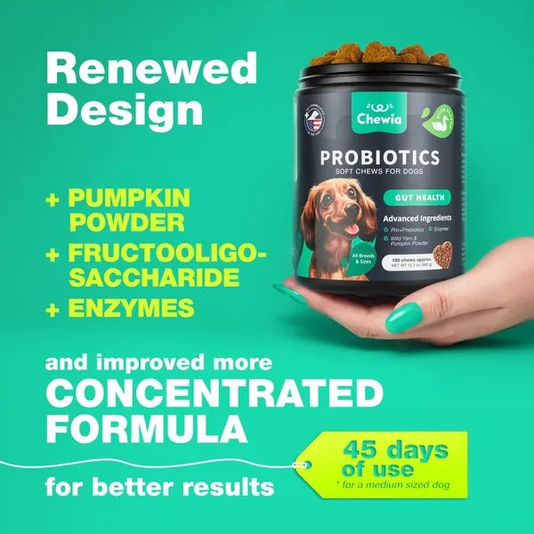 Probiotics For Dogs Gut Health Digestion - PawSlow