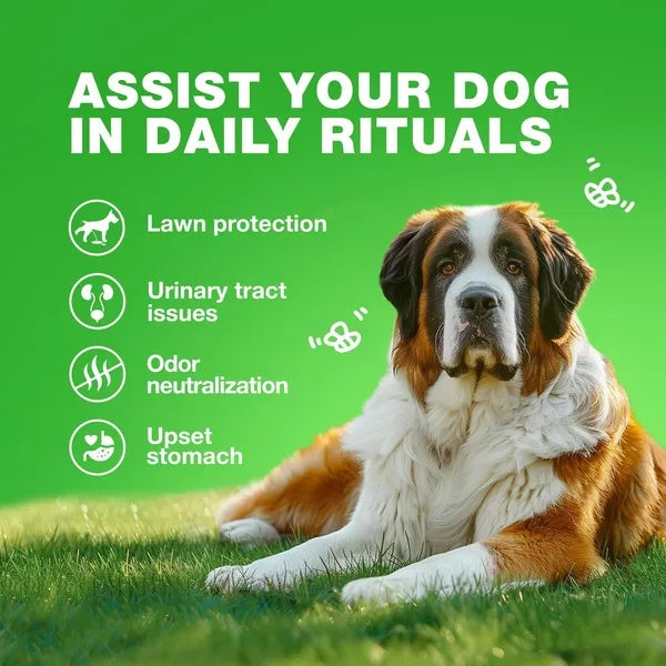 Grass Burn Spot Chews For Dogs Urine Neutralizer - PawSlow