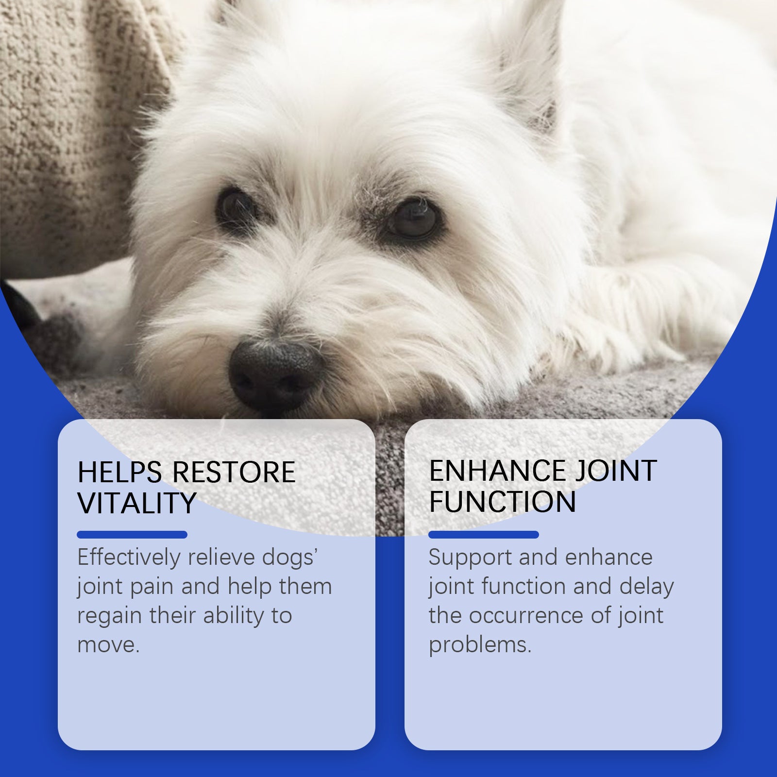 Pet Dog Joint Supplements Improve Nutrition And Care Joint Health - PawSlow