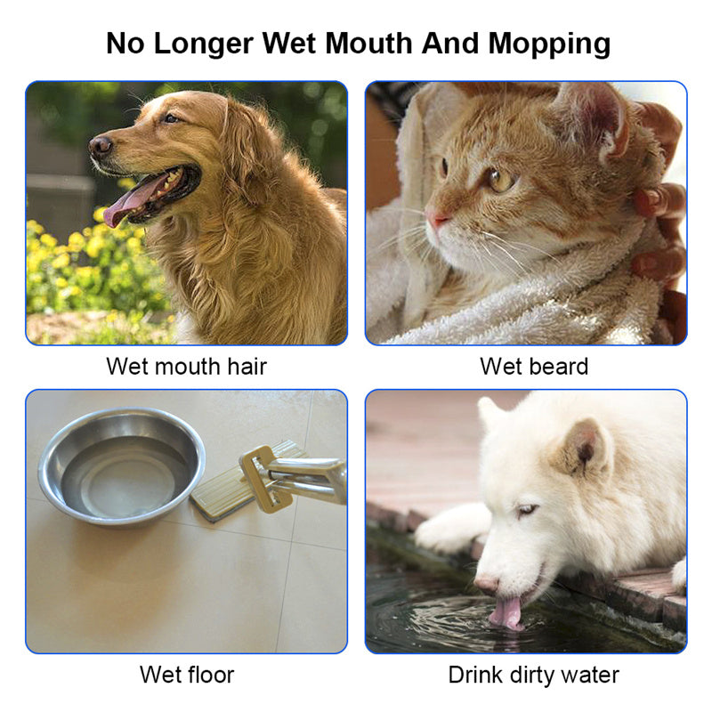 Anti-Overflow Slow Water Pet Fountain - PawSlow