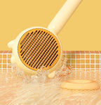 Comb Massage Brush