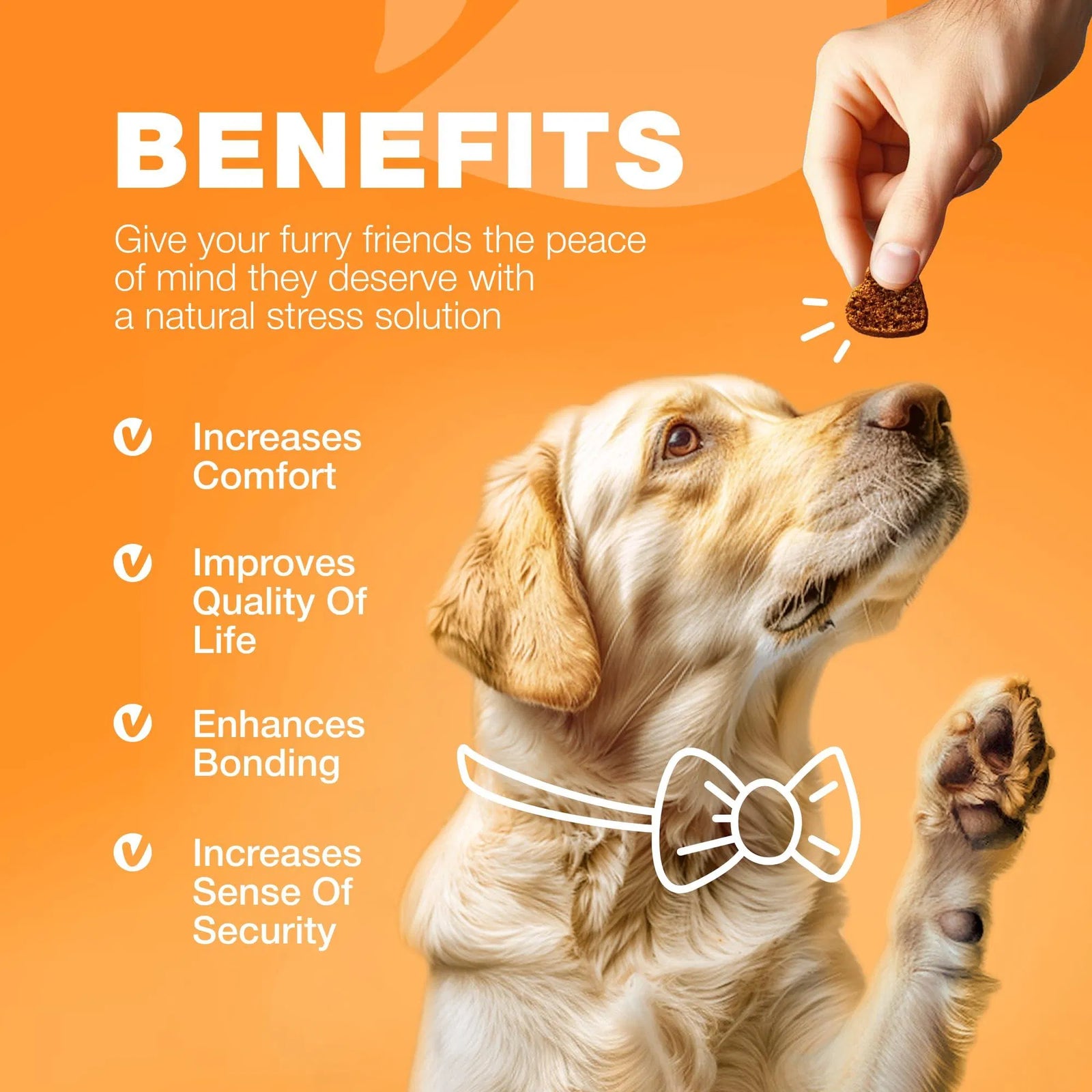 Dog Allergy Relief Chews - PawSlow