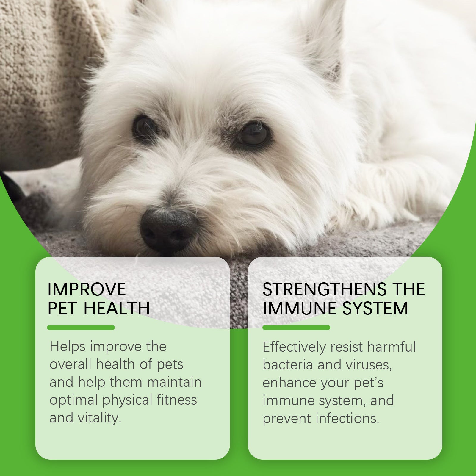 Dietary Supplements For Pets And Dogs - PawSlow