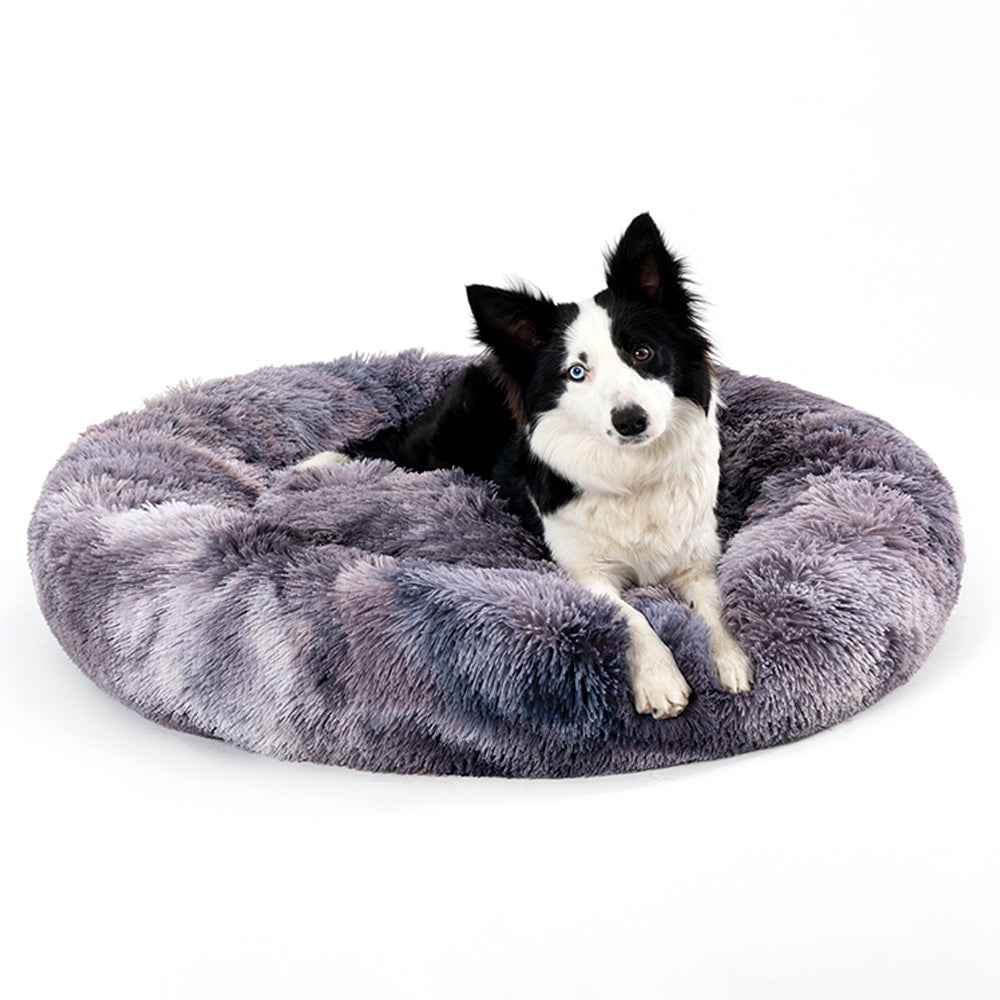 Why your pet will love this bed