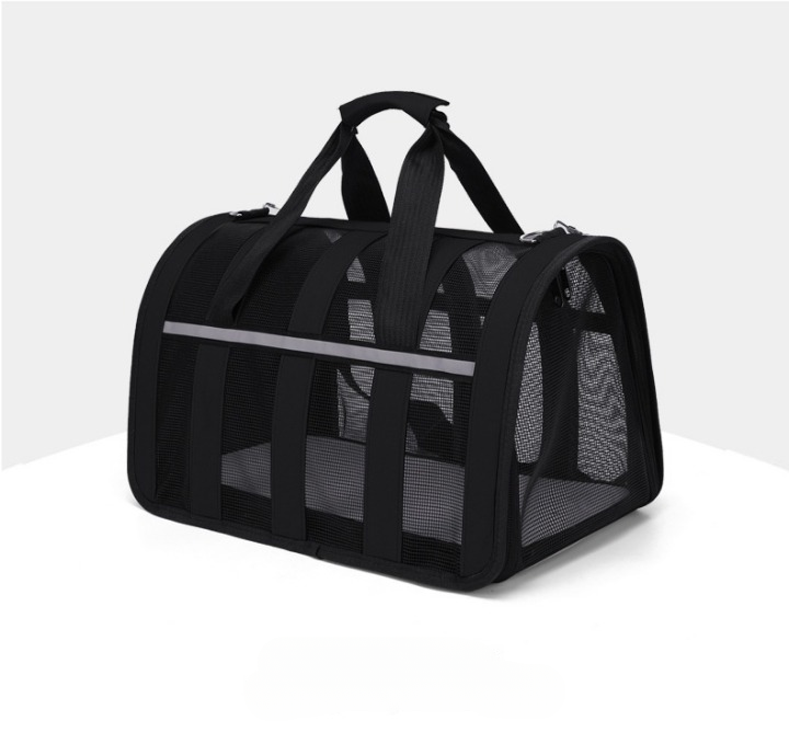 Why this pet bag is a must-have.