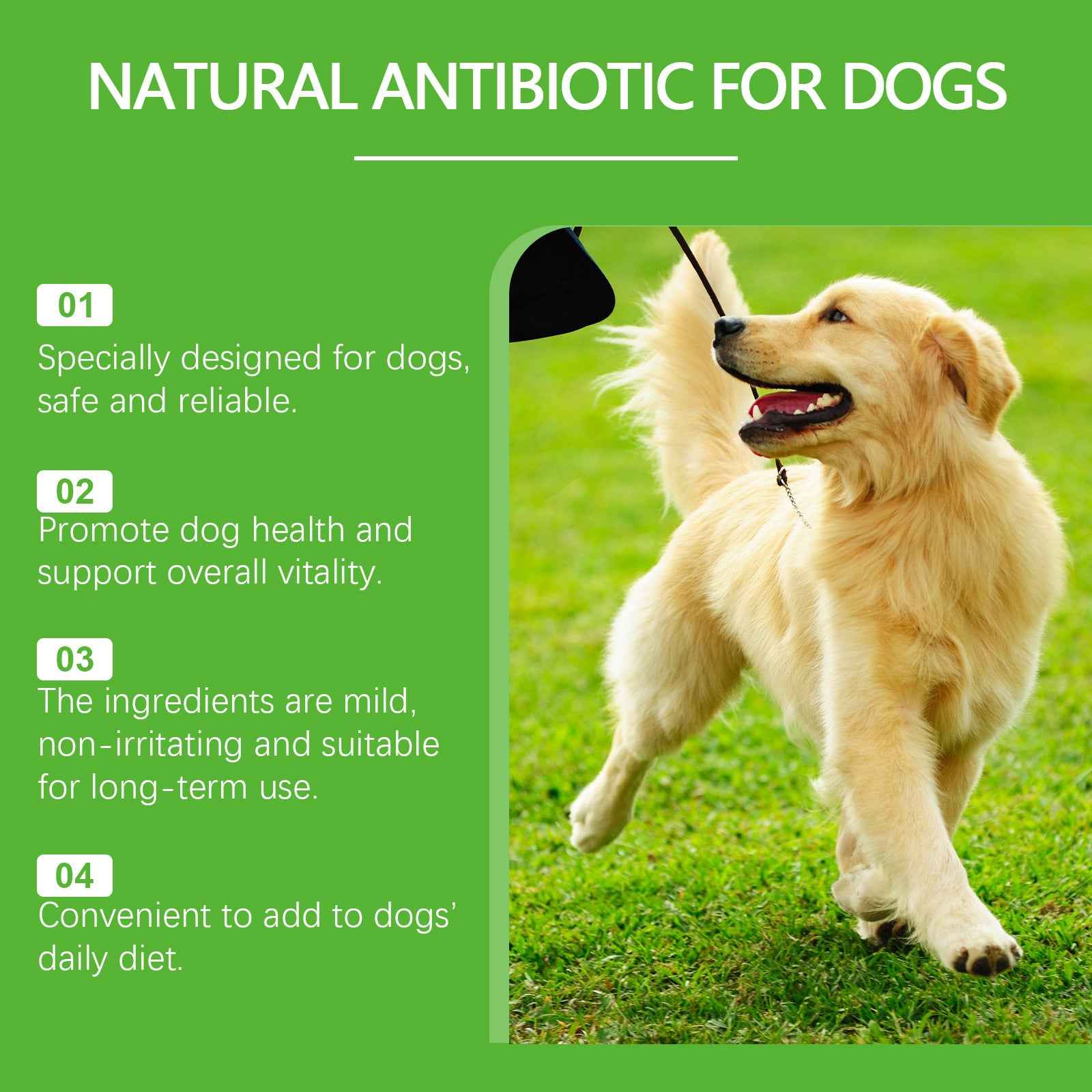 Dietary Supplements For Pets And Dogs - PawSlow
