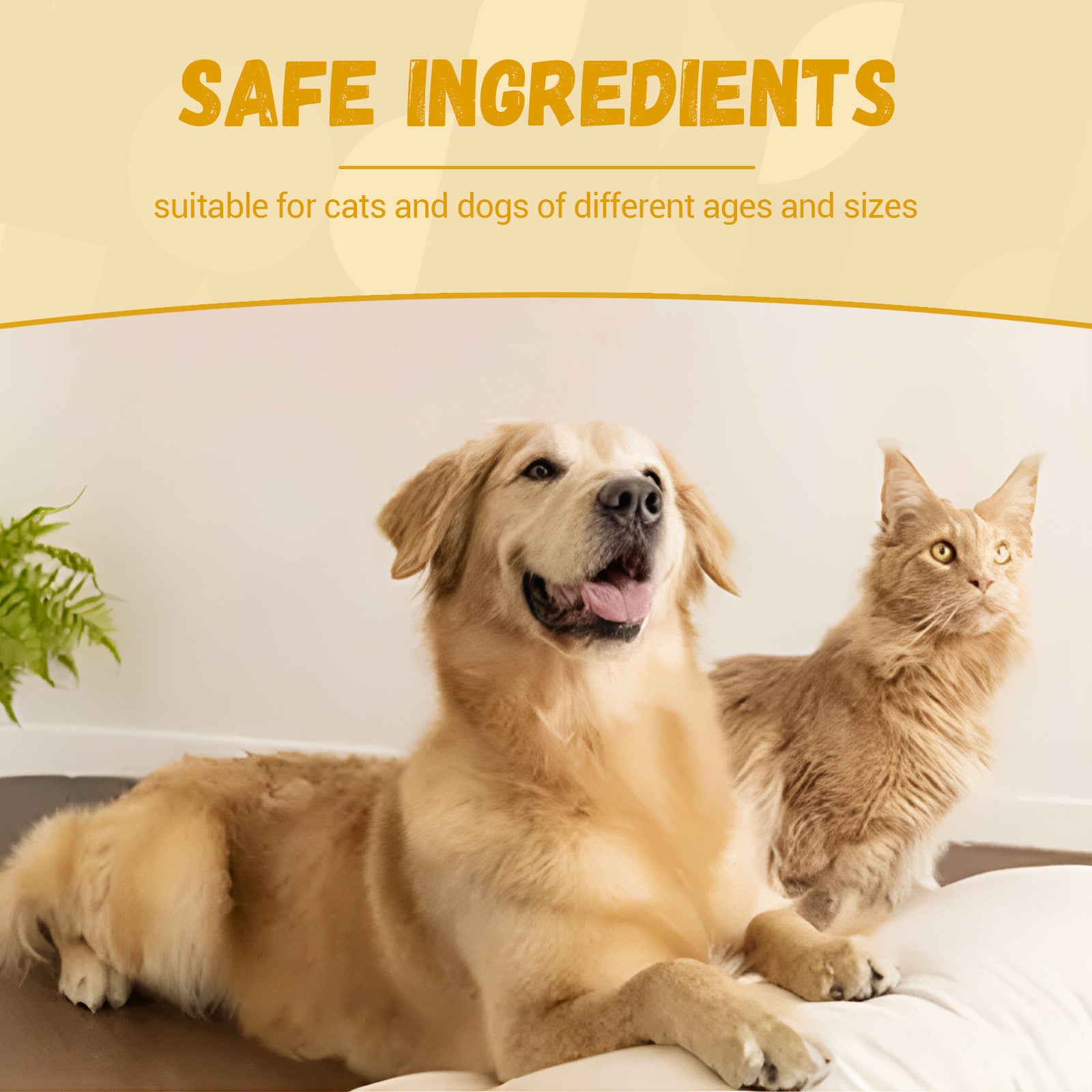 Pet Nutritional Supplements Enhance Energy Vitality - PawSlow