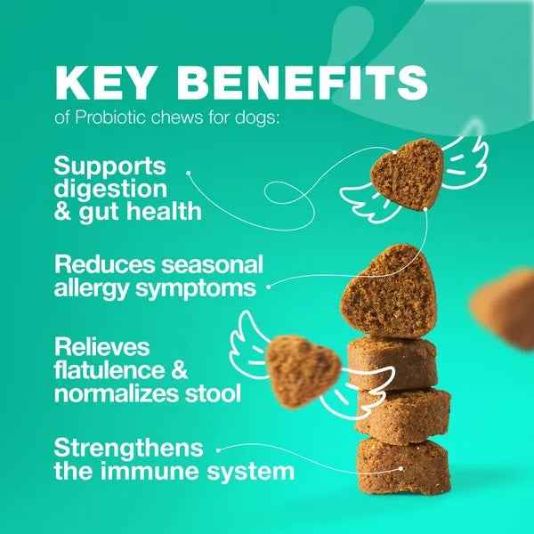 Probiotics For Dogs Gut Health Digestion - PawSlow