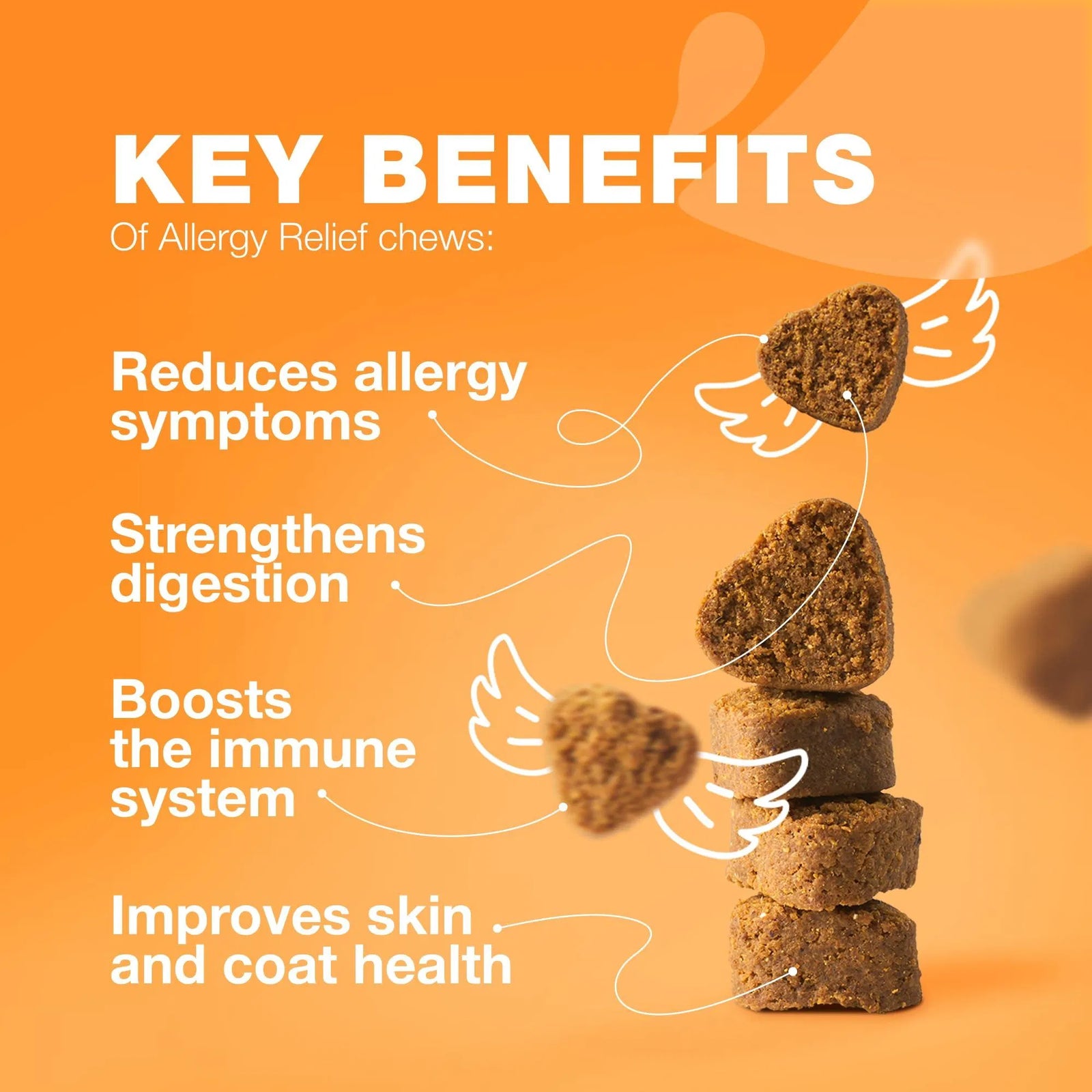 Dog Allergy Relief Chews - PawSlow