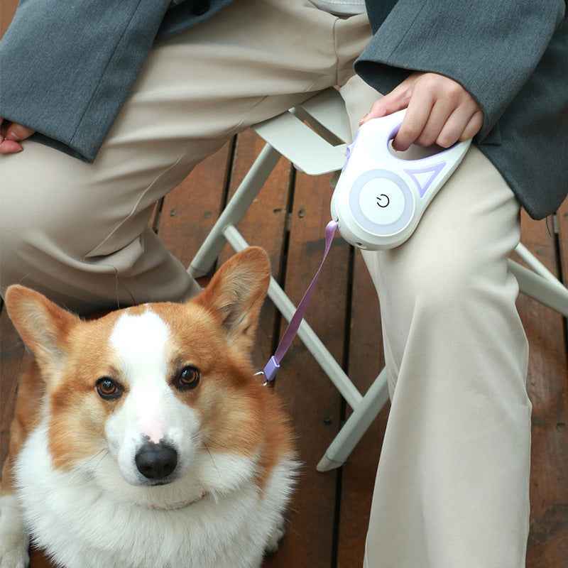 LED Retractable Dog Leash Night Walk