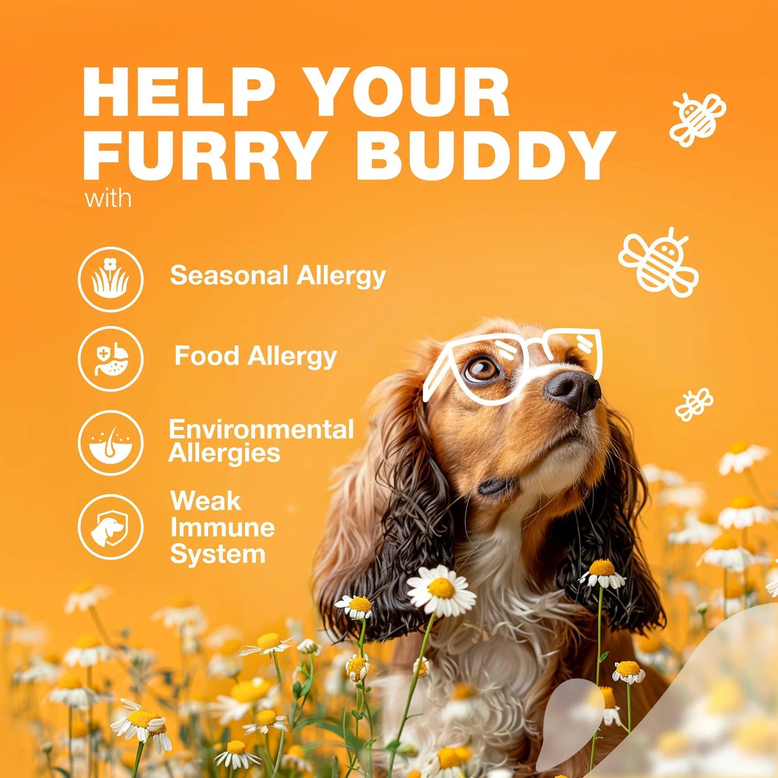 Dog Allergy Relief Chews - PawSlow