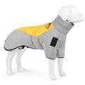 Grayish Yellow