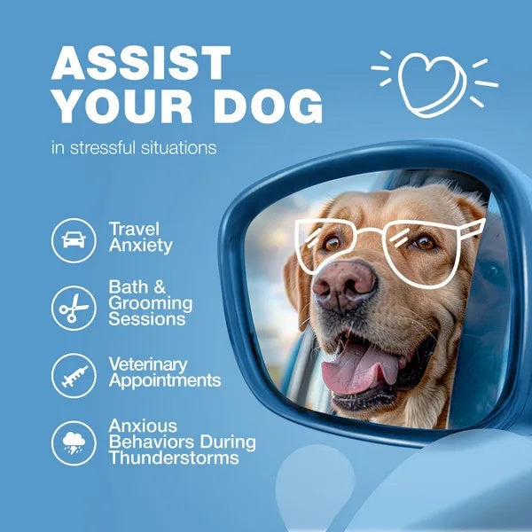 Hemp Calming Chews For Dogs - PawSlow