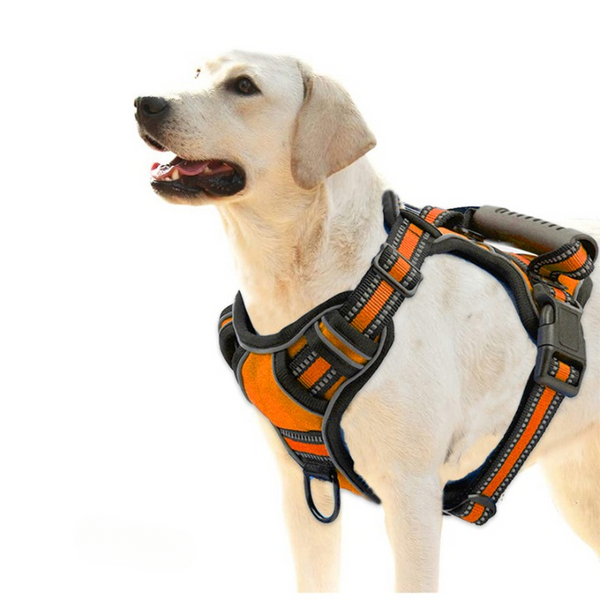 Breathable No-Pull Pet Harness for Dogs