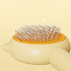Comb Massage Brush