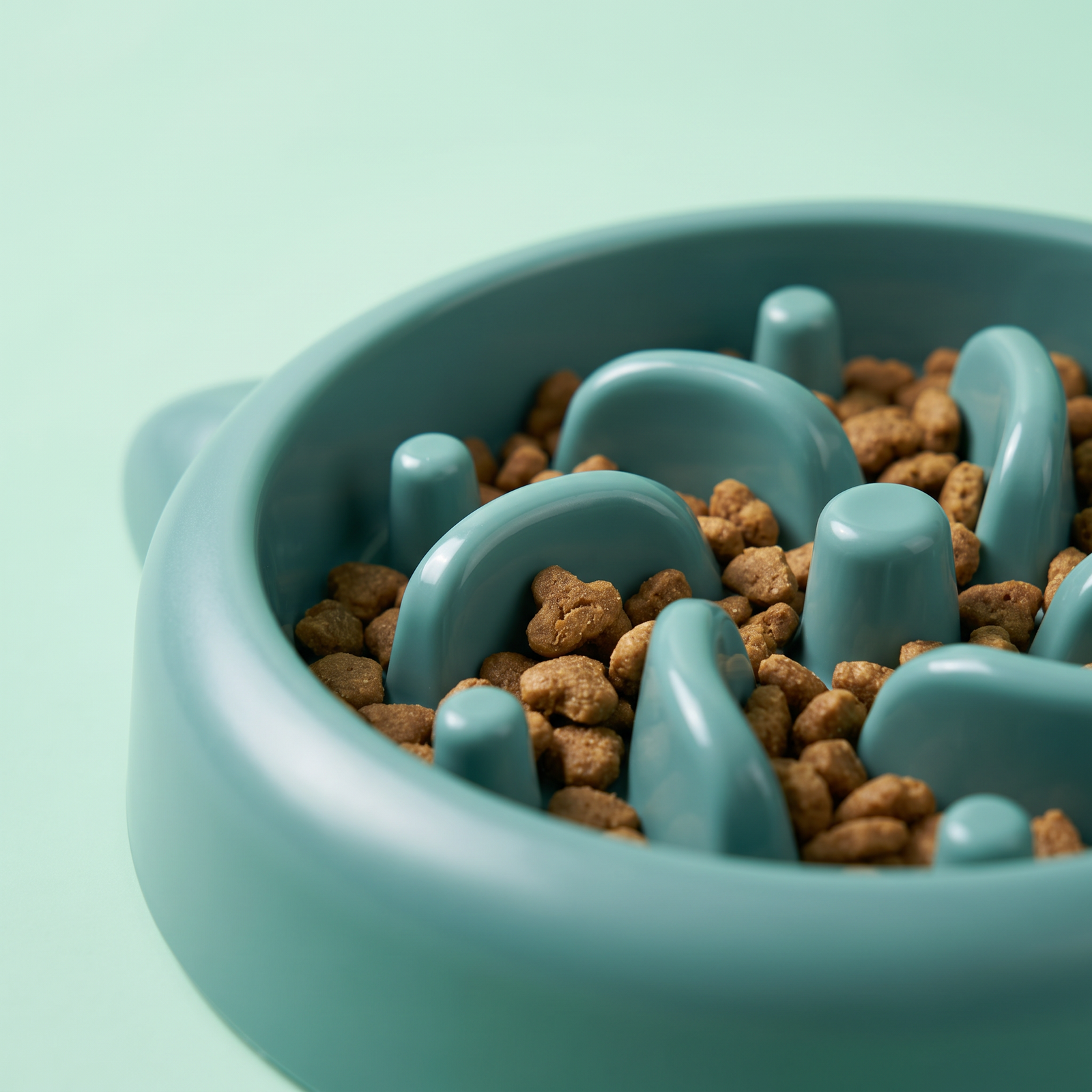 Anti-Bloat Slow Feeder Bowl
