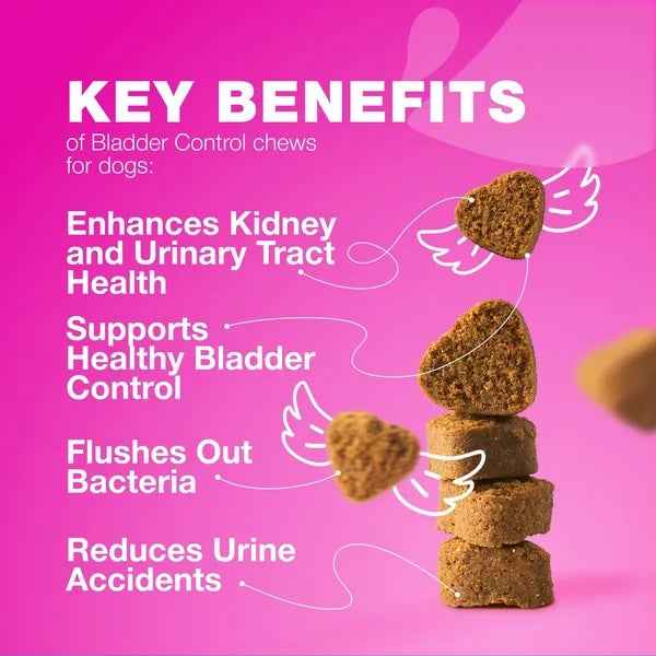 Dog UTI Treatment Cranberry Supplement For Bladder Kidney Health - PawSlow