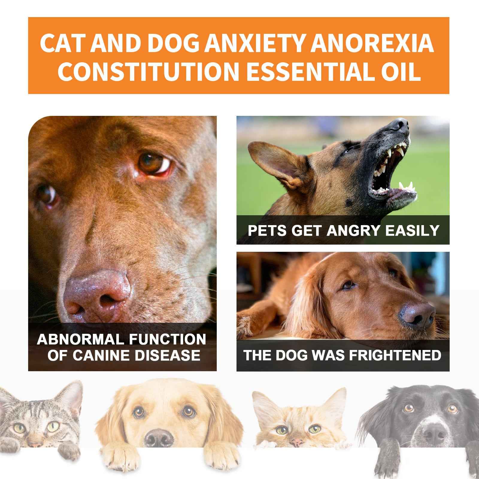 Vegetable oil Diet Care Supplement - PawSlow