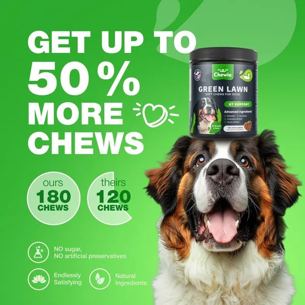 Grass Burn Spot Chews For Dogs Urine Neutralizer - PawSlow