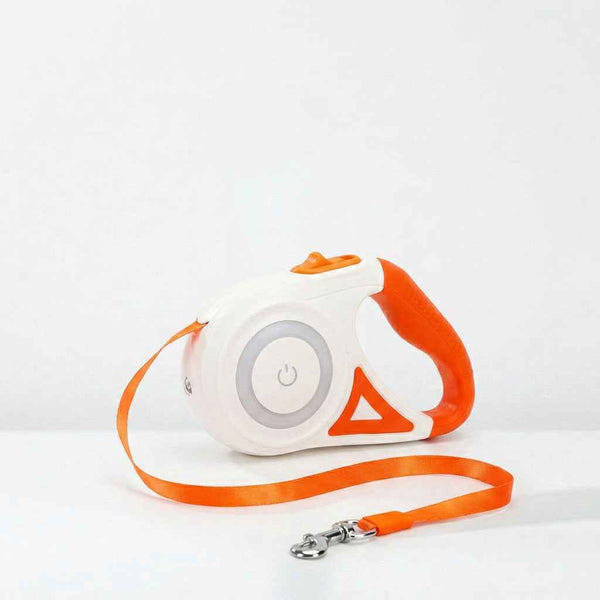 LED Retractable Dog Leash Night Walk