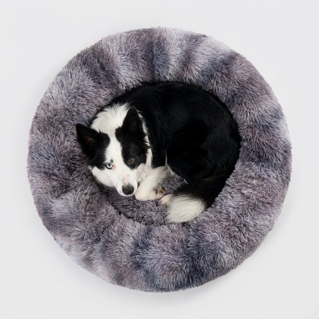 Calming Dog Bed for Ultimate Comfort and Relaxation