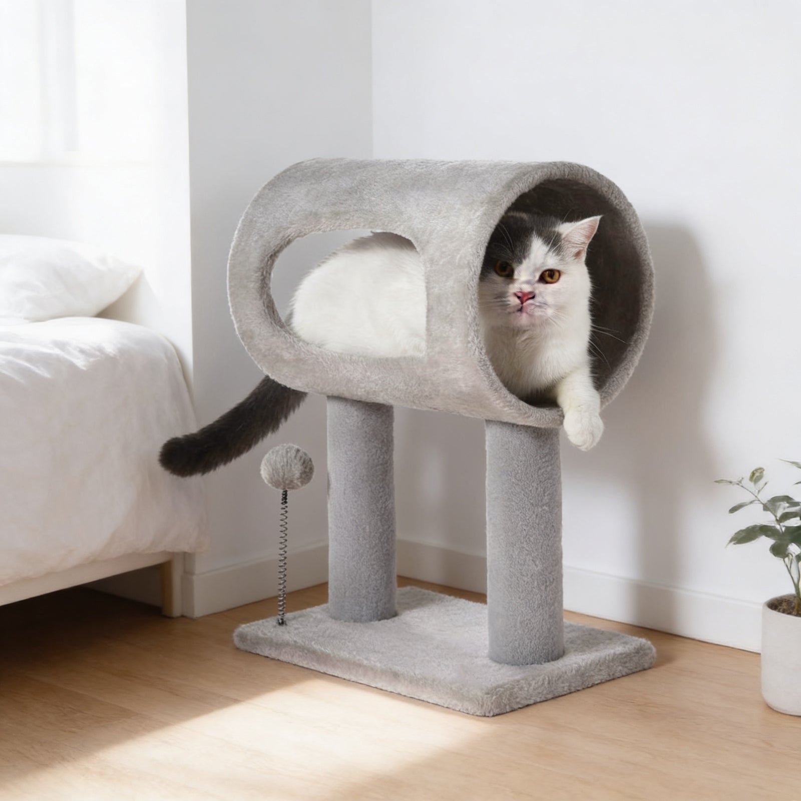A delightful space for your furry friend